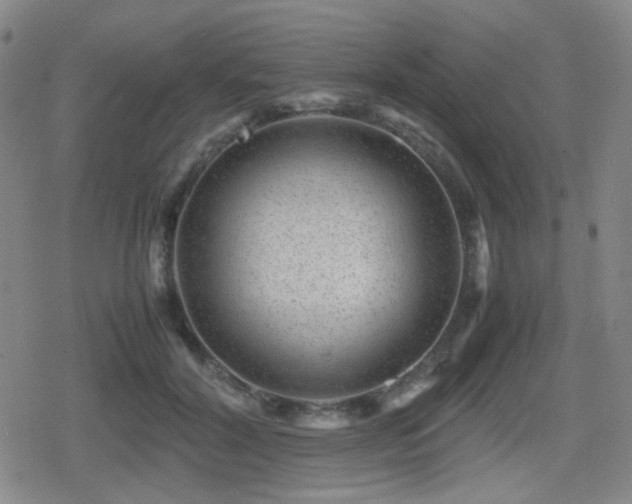 X0000080710604200612151136