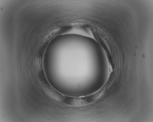 X0000080710605200612151135