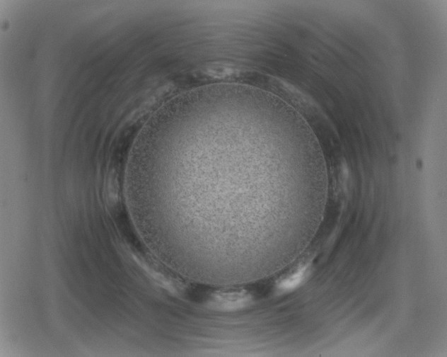 X0000080710606200612151135