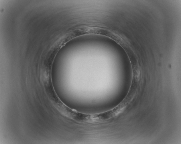 X0000080710607200612151135