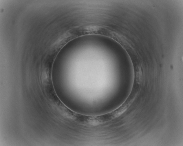 X0000080710608200612151135