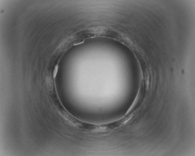 X0000080710609200612151135