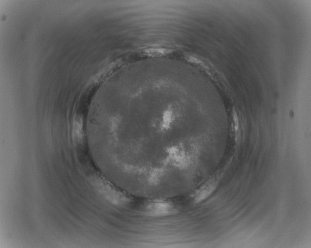 X0000080710610200612151135