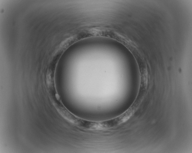 X0000080710611200612151135