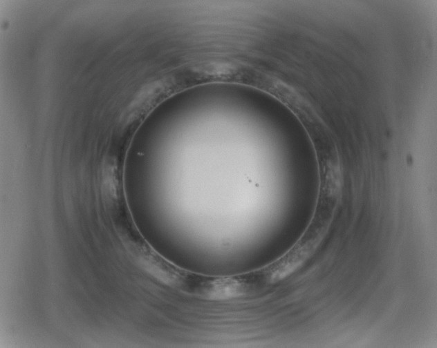 X0000080710612200612151135