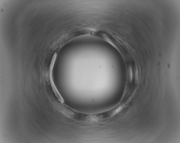 X0000080710613200612151135