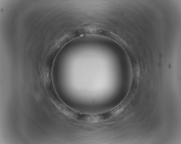 X0000080710615200612151135