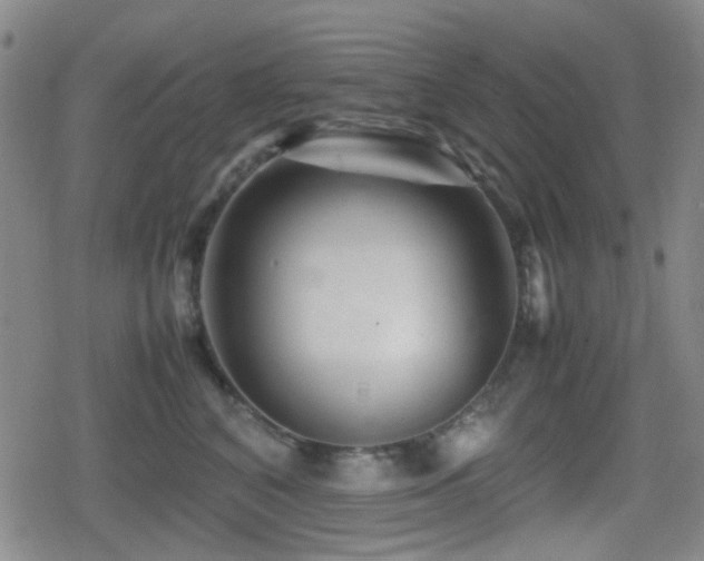 X0000080710616200612151135