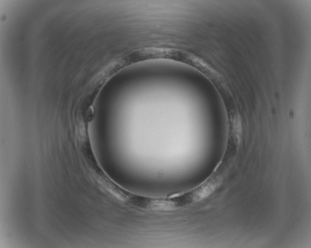 X0000080710617200612151135