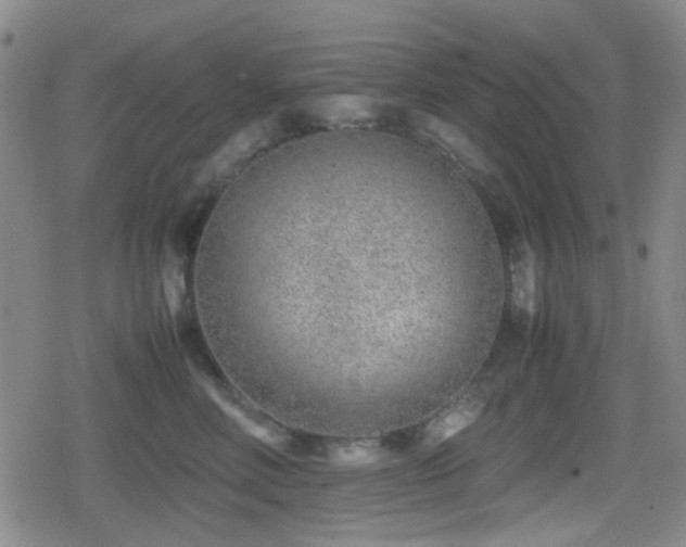 X0000080710618200612151135