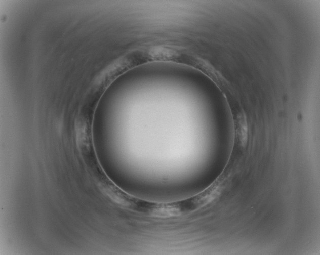 X0000080710619200612151135