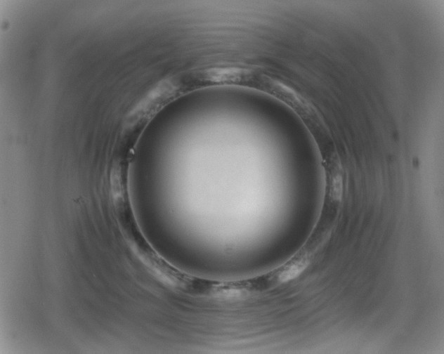 X0000080710620200612151135