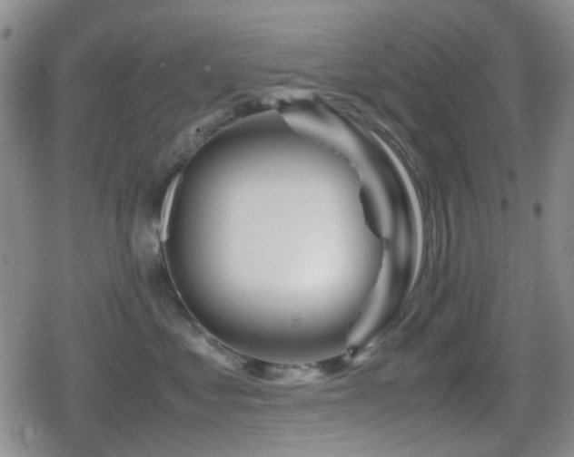 X0000080710621200612151135