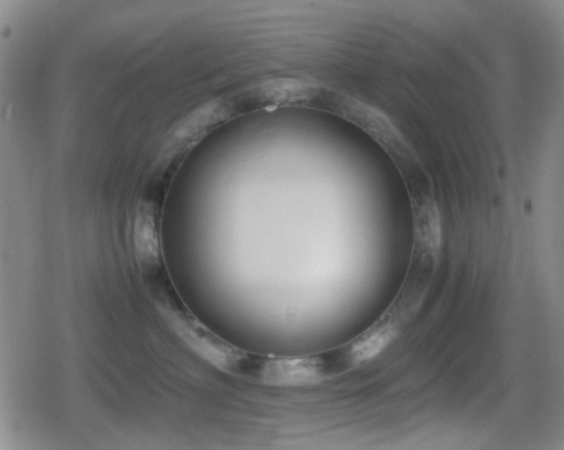 X0000080710622200612151135