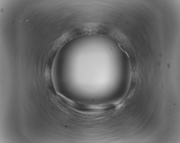 X0000080710623200612151135