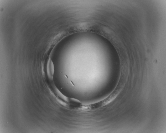 X0000080710624200612151135