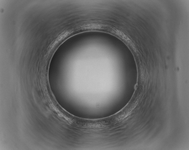 X0000080710625200612151134