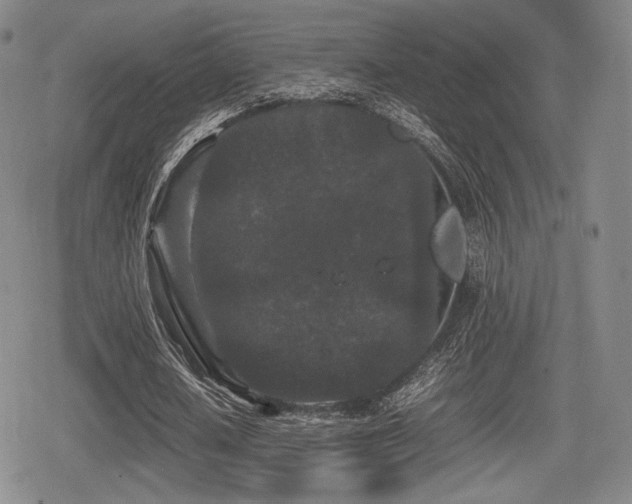 X0000080710626200612151134