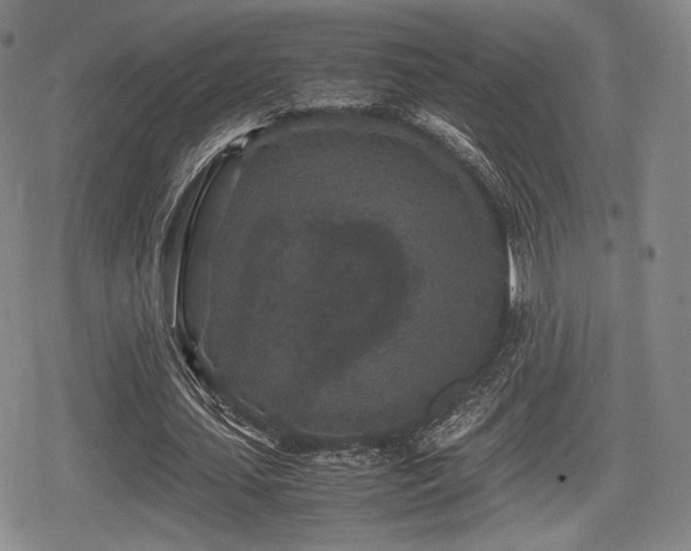 X0000080710627200612151134