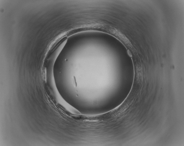 X0000080710628200612151134