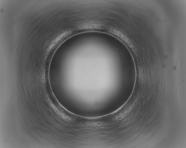 X0000080710629200612151134