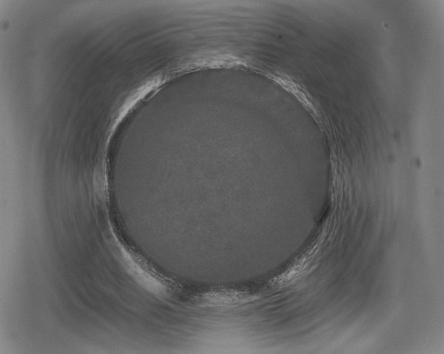 X0000080710630200612151134