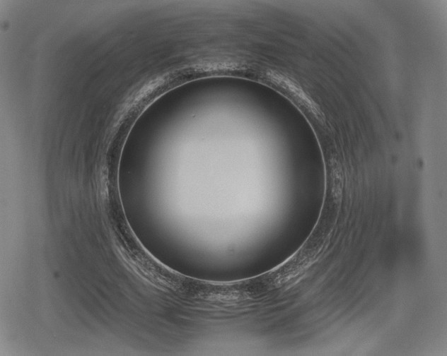 X0000080710631200612151135