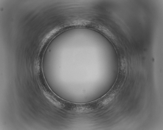 X0000080710632200612151135