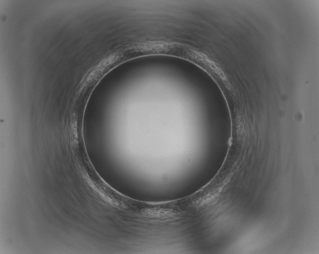 X0000080710633200612151135