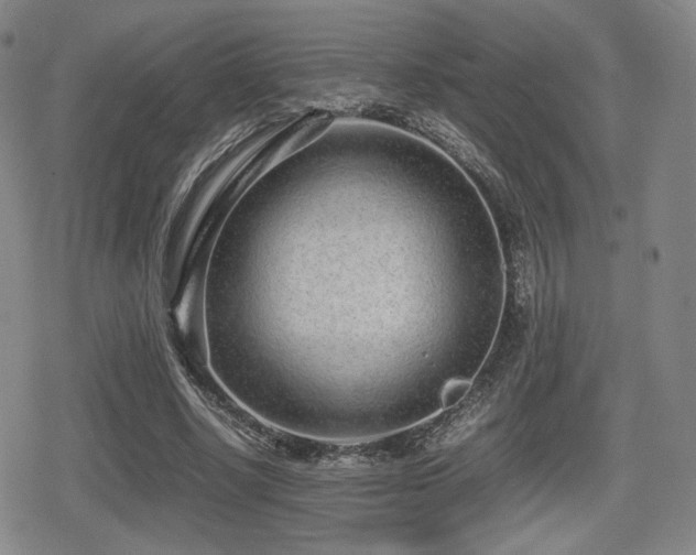 X0000080710634200612151135