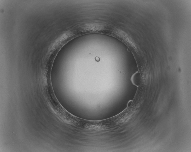 X0000080710635200612151135