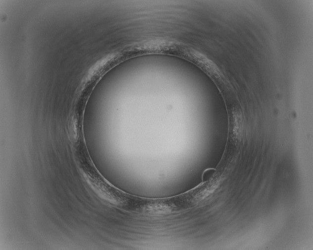 X0000080710636200612151135