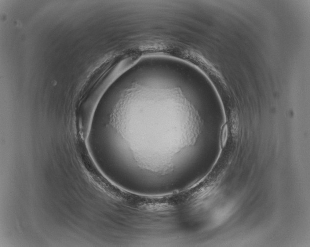 X0000080710637200612151135