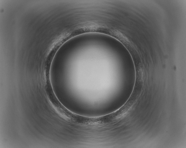 X0000080710638200612151135