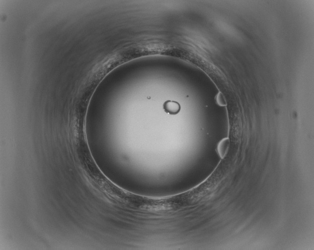 X0000080710639200612151135