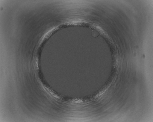 X0000080710640200612151135