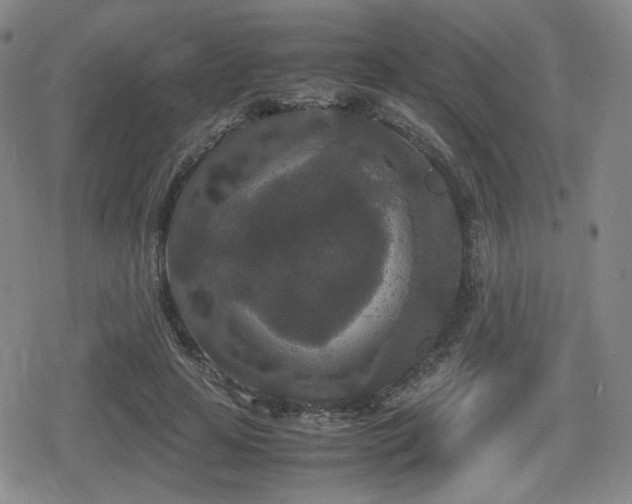 X0000080710641200612151135