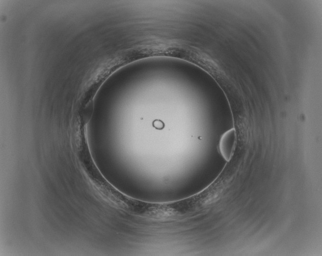 X0000080710642200612151135