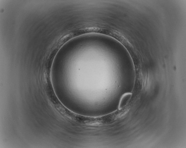 X0000080710643200612151135