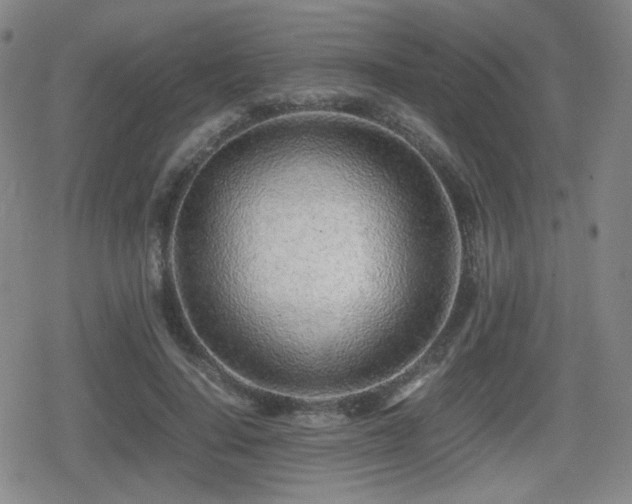 X0000080710644200612151135