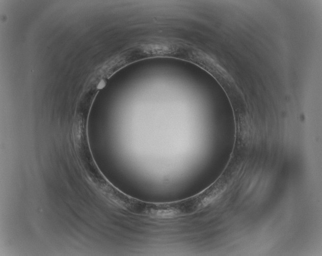 X0000080710645200612151135