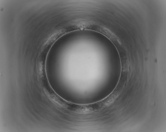 X0000080710646200612151135