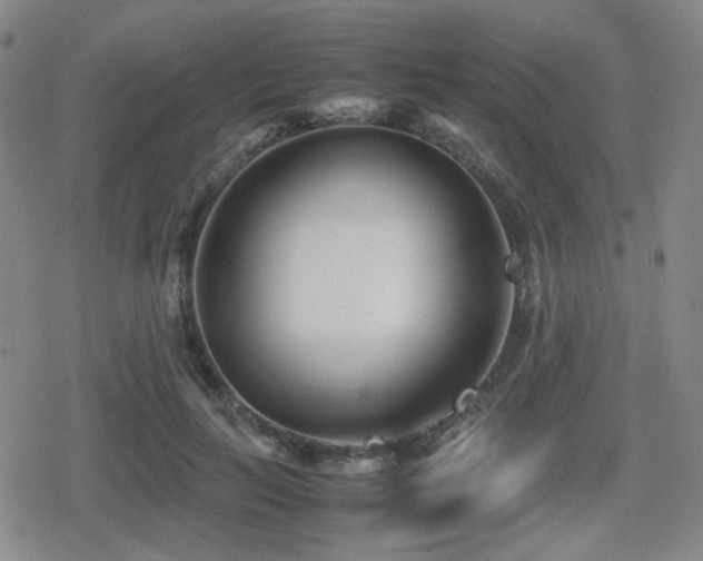 X0000080710647200612151135