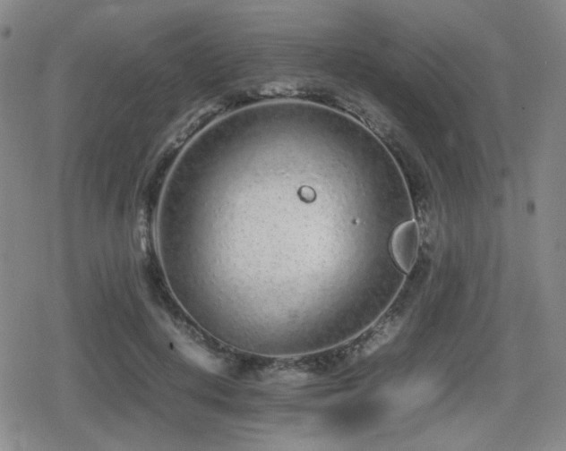 X0000080710648200612151135