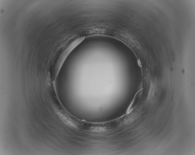 X0000080710649200612151135