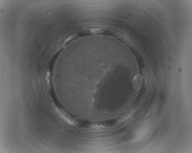 X0000080710650200612151135