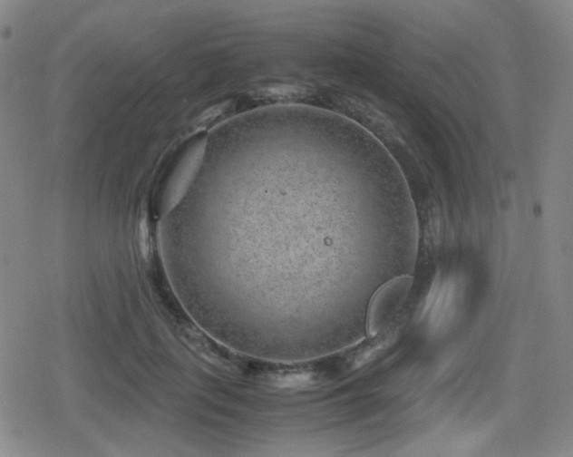 X0000080710651200612151135