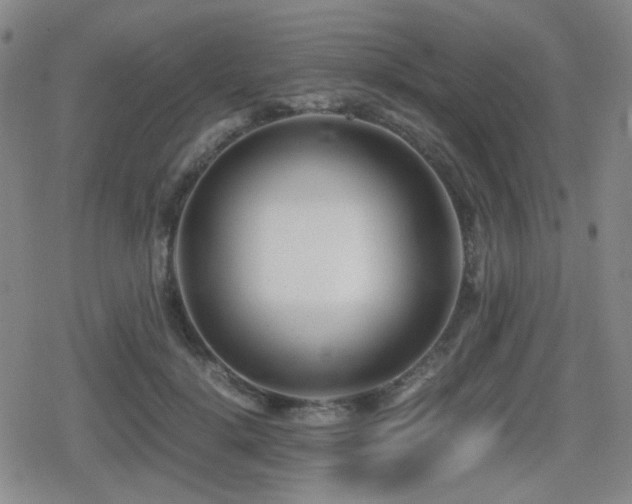 X0000080710652200612151135