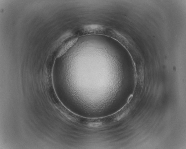 X0000080710653200612151135