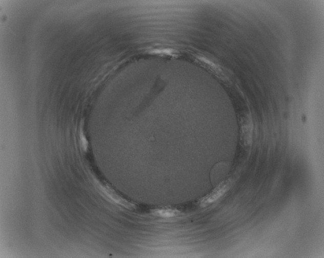 X0000080710654200612151135